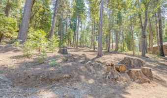 1694 Shoshone Dr, Camp Connell, CA 95223