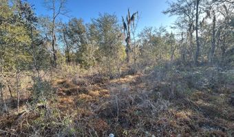 NW Lake McKenzie Rd, Altha, FL 32421