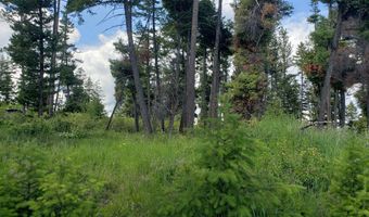 Arlee Pines lot 21, Arlee, MT 59821