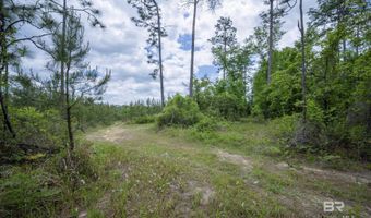 Phillipsville Road, Bay Minette, AL 36507