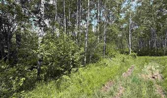 TBD Samuelson Road - Sec 15, Angora, MN 55703