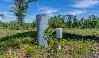 Chad Lake Rd, Alma, GA 31510