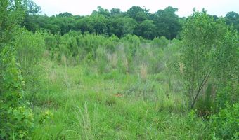 2200 Gillionville Rd, Albany, GA 31707