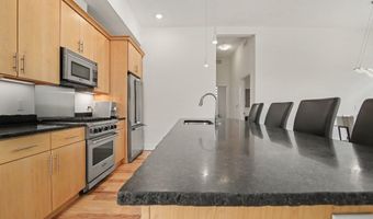 410 N 1st St 203, Ann Arbor, MI 48103