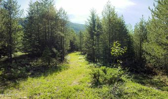 Nna Log Cabin Rd, Bonners Ferry, ID 83805