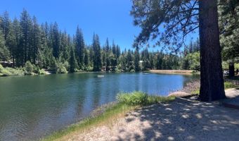 1530 Patricia Ln, Arnold, CA 95223