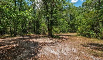 4814 NW 244 Ave, Alachua, FL 32615