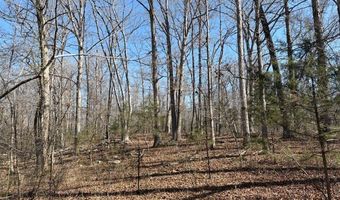 11111 Hwy 62/412, Ash Flat, AR 72513