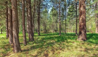 36524 E Canyon Rd, Cataldo, ID 83810