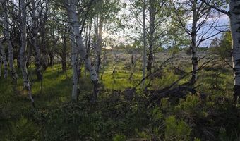 TBD 40 AC Arcadia Road, Ashton, ID 83440