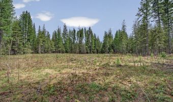 NNA Lost Mile Rd, Bonners Ferry, ID 83805