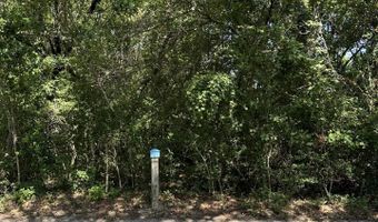 102 Stede Bonnet, Bald Head Island, NC 28461