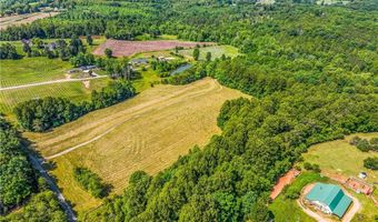 157 Buttercup Ln, Ararat, NC 27007