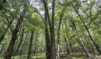 Pine Lodge Road, Batesville, MS 38606
