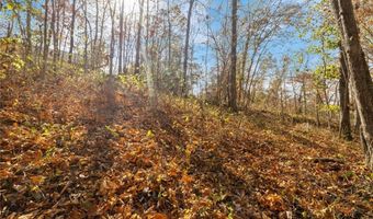 Lot 69 Ault LN, Bella Vista, AR 72715