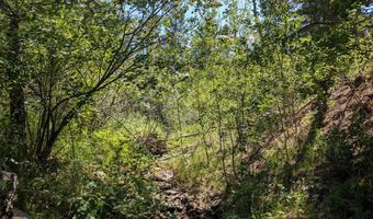 Old Camp Rd, Bellvue, CO 80512