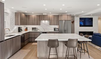 447 E Cooper Ave 1, Aspen, CO 81611