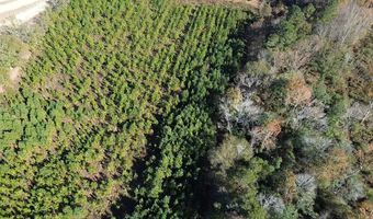 1228 River Rd, Ariton, AL 36311