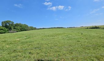 25 Acres State Highway F, Anderson, MO 64831