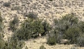 01 Wsmr P Route 7, Carrizozo, NM 88301