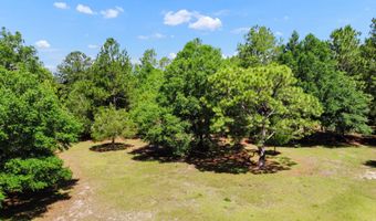 1184 Blackberry Cir, Baker, FL 32531