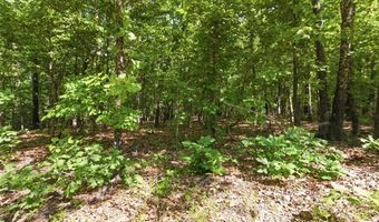 210 County Road 320, Alton, MO 65606