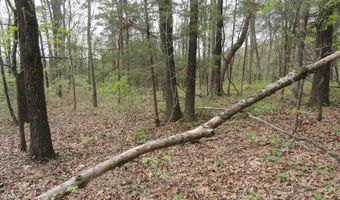 Long Branch Lane, Bee Branch, AR 72013