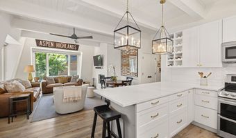 731 E Durant Ave Unit 21, Aspen, CO 81611
