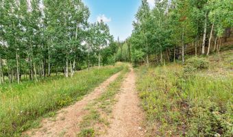 427 Wise Rd, Bailey, CO 80421