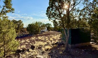 37 Co Rd N8174 10.1 Acres, Concho, AZ 85924