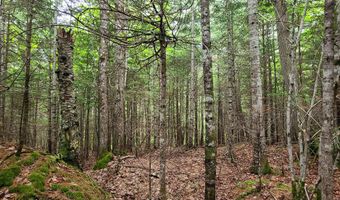 Map 14 lot 50, Andover, ME 04216