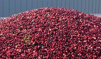 54981 MORRISON Rd, Bandon, OR 97411