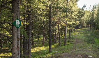 13 Little Plume, Big Sky, MT 59716