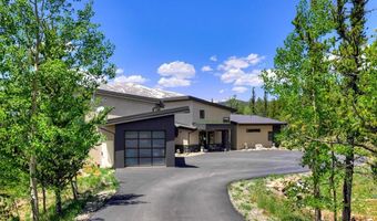 1453 PONDEROSA Rd, Alma, CO 80420
