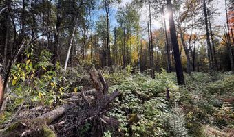 9403 CTH A, Alvin, WI 54542