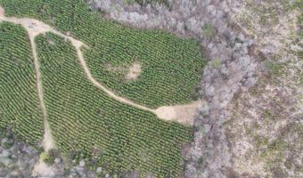 Old Courthouse Road, Appomattox, VA 24522