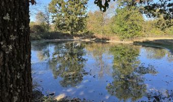 County Road 113, Alton, MO 65606