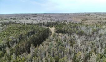 5280 Cathro Rd, Alpena, MI 49707