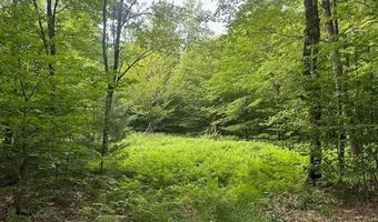 1430 Back Rd, Belvidere Center, VT 05442