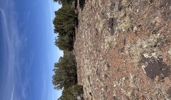 26 Spruce Dr Rd # 8051, Concho, AZ 85924
