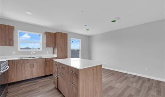 1503 W St Francis Ave, Alton, TX 78573
