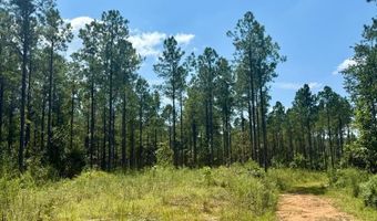 237 Co Rd 2120, Booneville, MS 38829