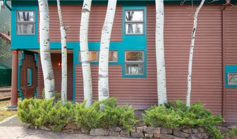 925 W North St, Aspen, CO 81611