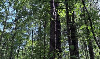 North Palestine Road, Baldwyn, MS 38824