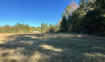 Clara Foote Road, Braxton, MS 39044