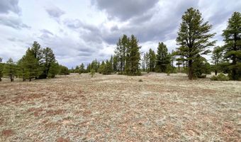 99 Big Notch Forest Trl, Bluewater, NM 87005