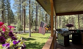 77 Timber Ln, Adin, CA 96006