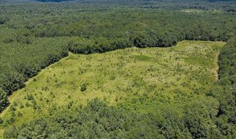 6925 Cobbham Rd, Appling, GA 30802