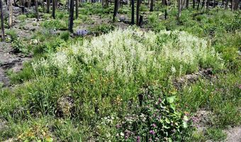 2025 Granite Rd, Bellvue, CO 80512