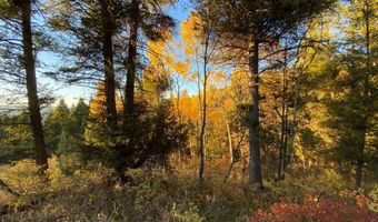 400 GROVER DRY FARM Rd, Afton, WY 83110